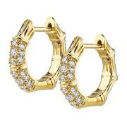 Golden Zirconia Bamboo